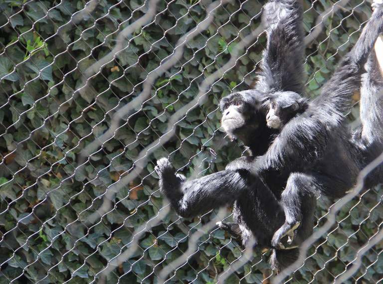 Eve and daughter Rahsia on exhibit for the first time, May 13, 2022.