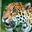 Jaguar Headshot Animal Yearbook