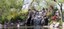 Japanese Garden horizontal