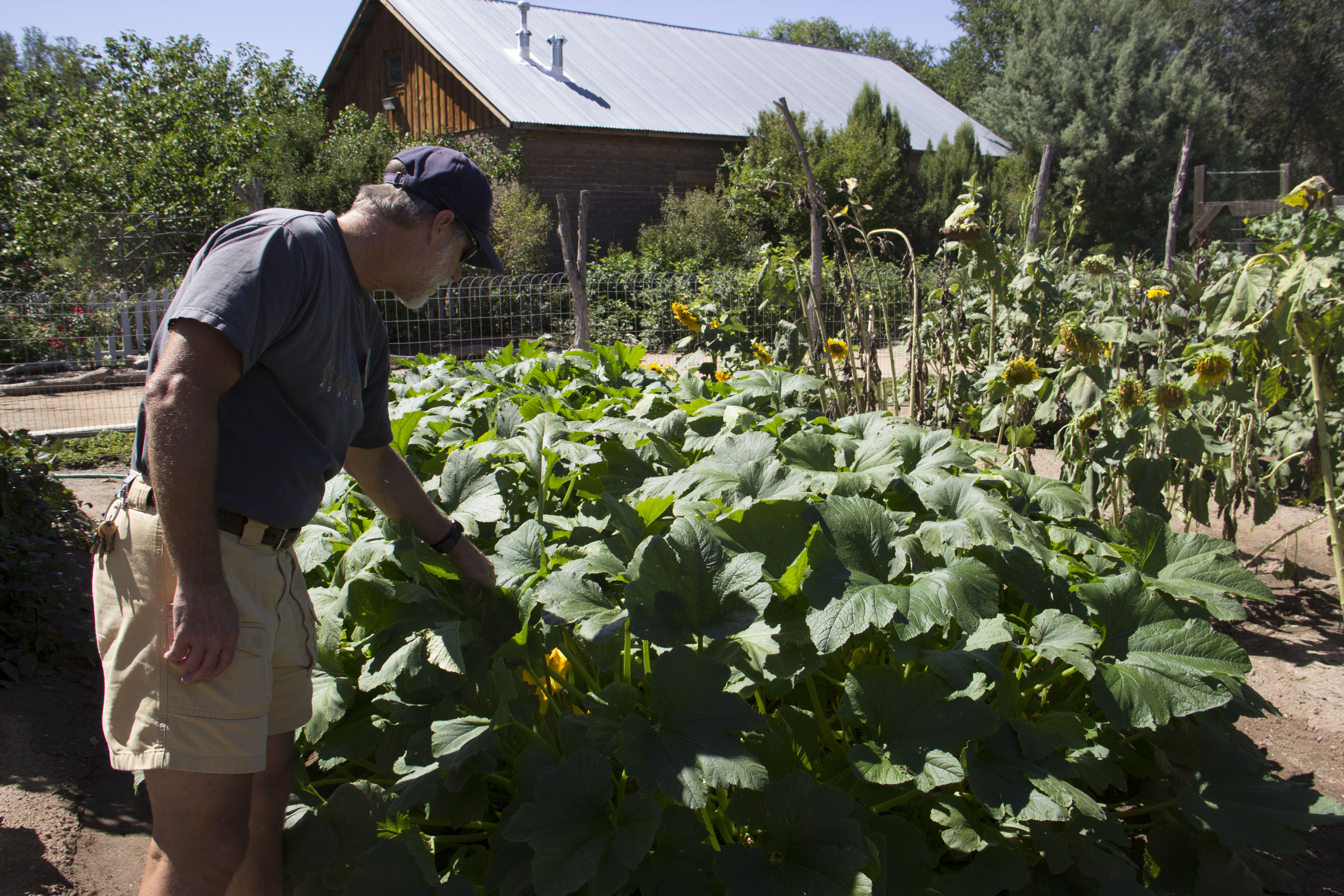 Jon Stewart at Heritage Farm