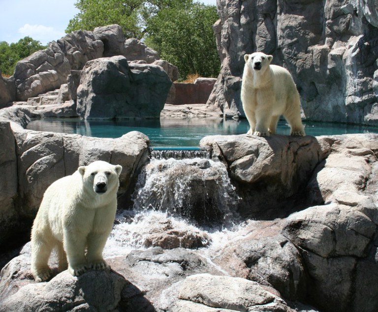 Koluk and Kiska 