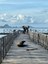 Komodo dragon pier
