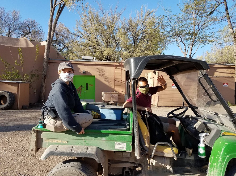 Two volunteers wearing face masks in an electric golf cart.