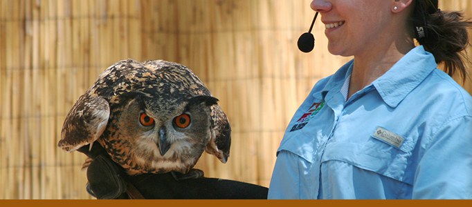 World Animal Encounters Banner