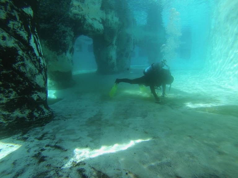 Water quality crew in scuba gear in a large tank examine the tank's floor at ABQ BioPark.