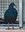 Nicobar pigeon hatched 2026