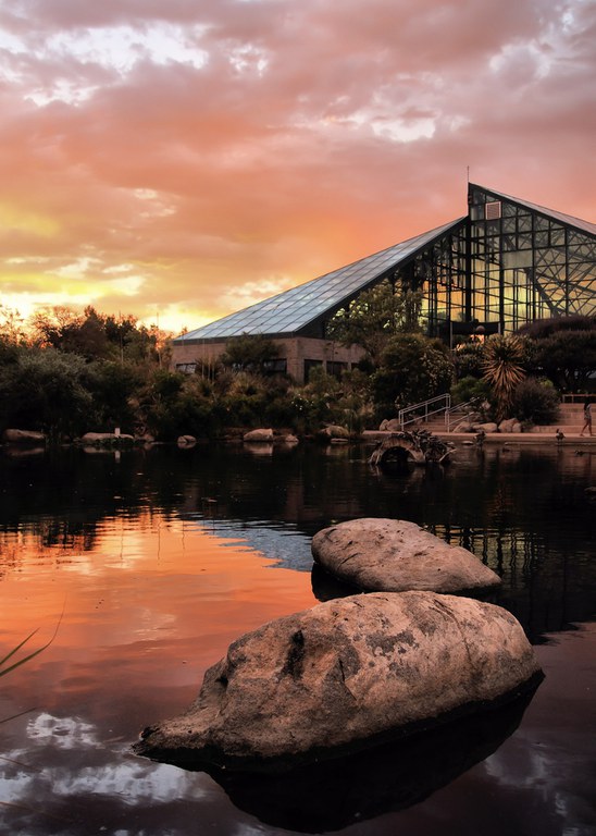ABQ BioPark Conservatory sunset