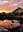 ABQ BioPark Conservatory sunset