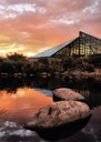 ABQ BioPark Conservatory sunset