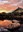 ABQ BioPark Conservatory sunset
