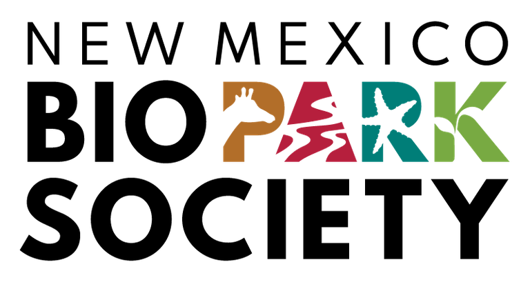 NMBPS Logo - New 2020