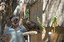 Owl Animal Encounters