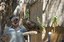 Owl Animal Encounters
