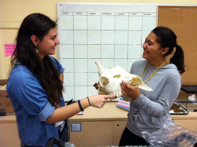 student volunteers with skull