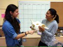 student volunteers with skull