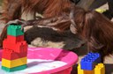Pixel Orangutan Legos