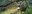 BioPark Research Camera Trap