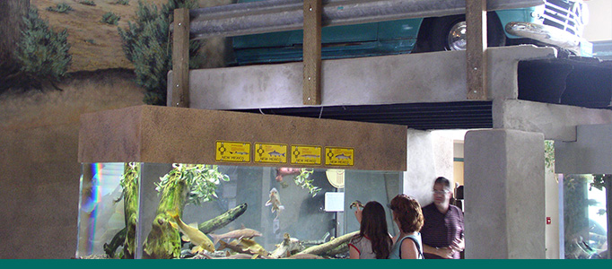 A small group of people watch fish in a large tank at the Aquarium.
