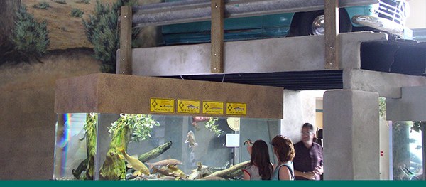 A small group of people watch fish in a large tank at the Aquarium.