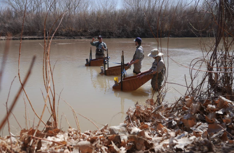 Three BioPark staff stand in the Rio Grande river with three fish egg collector boxes. Photo by Mikaela Santistevan.