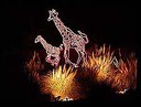 rol-giraffe-lg.jpg