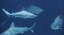 Sharks