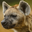 Spotted Hyena Headshot Animal Yearbook