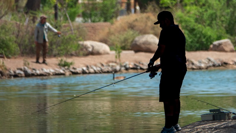 Tingley Beach header 2026