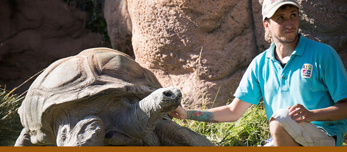 Tortoise Keeper Chats Banner