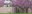 Trees in Garden Banner