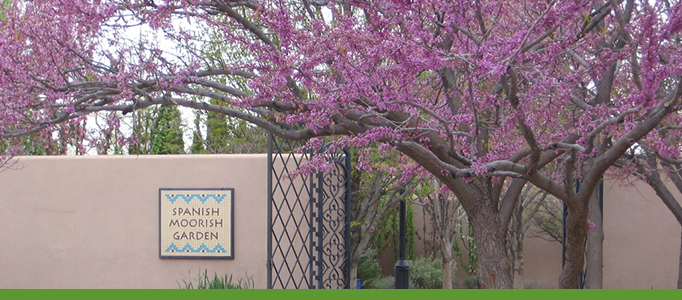 Trees in Garden Banner