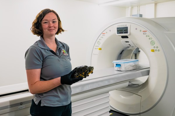 Trinity CT scan Trinity at CT scan machine with turtle.