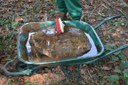 Tortoise treatment Tortoise treatment