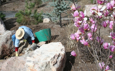 volunteerhorticulture.jpg