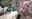 volunteerhorticulture.jpg