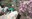 volunteerhorticulture.jpg