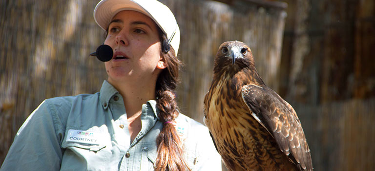 Garden Tours Zoo Animal Encounters