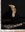 wrinkled hornbill chick hatched 2026