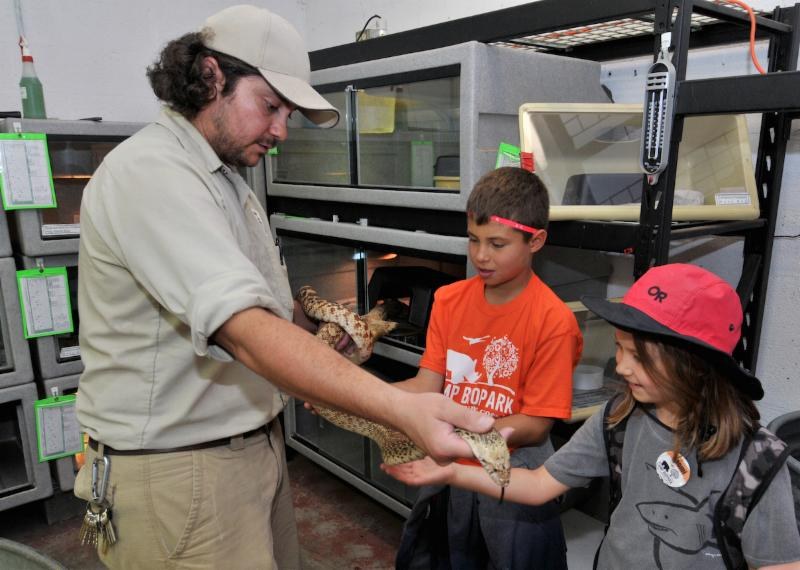 5 Reasons to Bring Your Kids to the ABQ BioPark 5 Reasons to Bring Your Kids to the ABQ BioPark