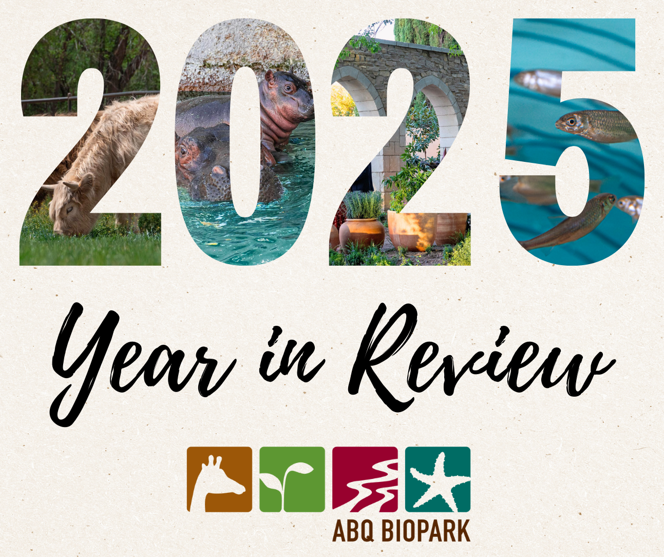 ABQ BioPark 2025 Year in Review — City of Albuquerque