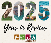 ABQ BioPark 2025 Year in Review