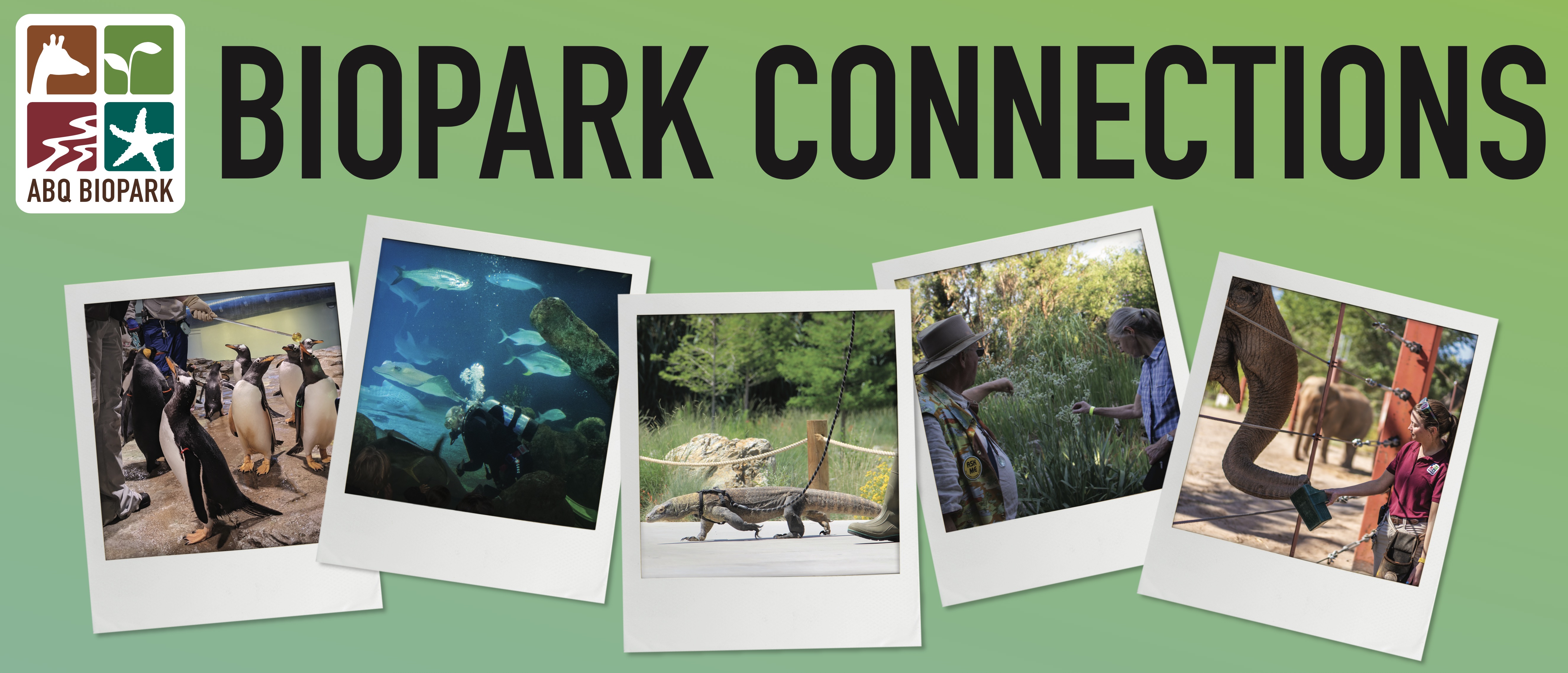 ABQ BioPark Announces Must-see Moments With BioPark Connections — City ...