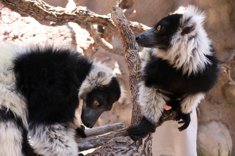ABQ BioPark Announces Summer Hours ABQ BioPark Announces Summer Hours