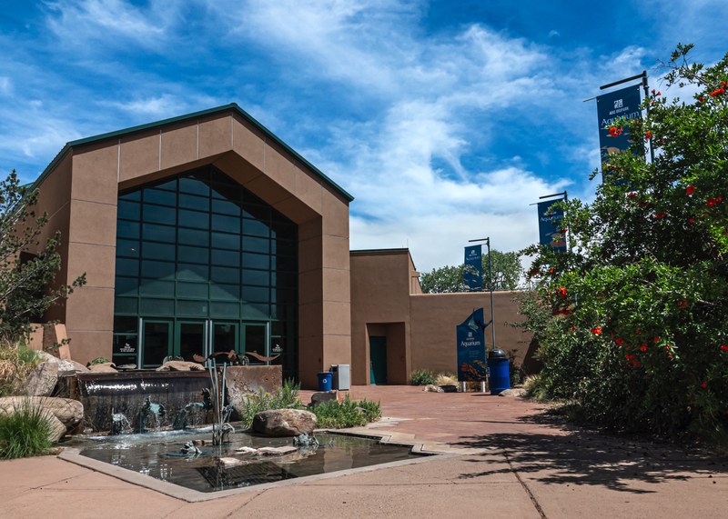 Enjoy a Refreshed Aquarium and Botanic Garden Summer Experience