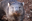 ABQ BioPark Grieves the Loss of Wombat