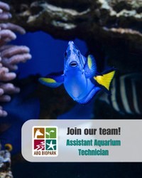 Job Opportunity at the ABQ BioPark: Assistant Aquarium Technician
