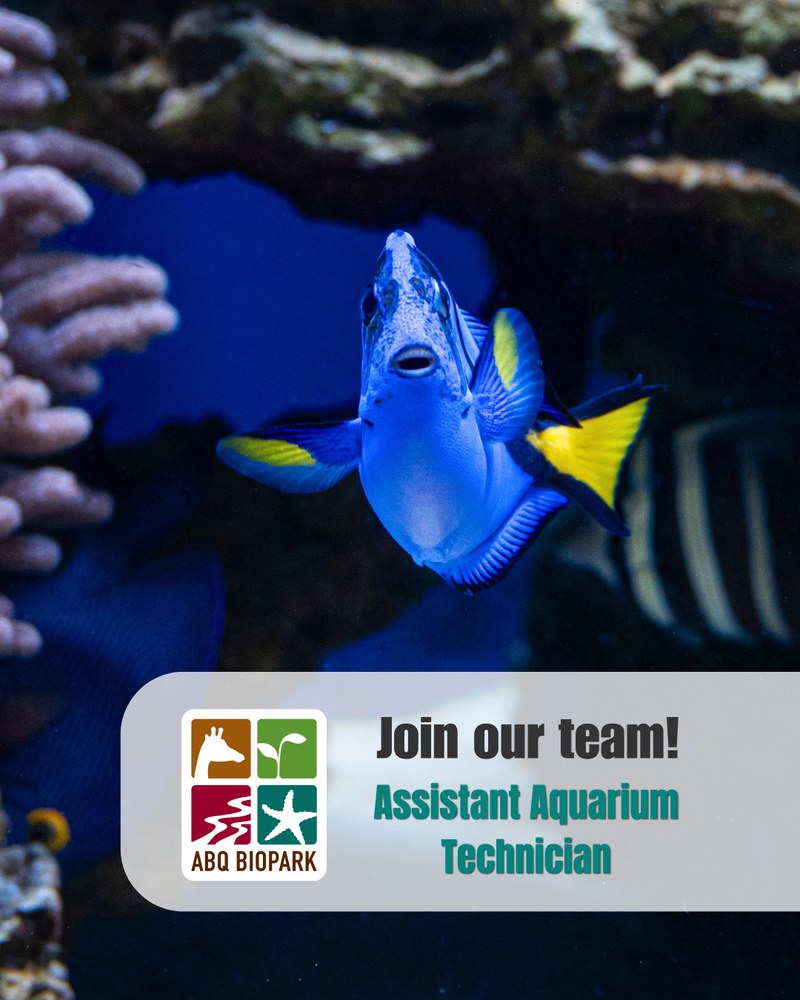 Job Opportunity at the ABQ BioPark: Assistant Aquarium Technician