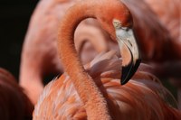 ABQ BioPark Job Opportunity: Head Cashier