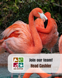 Job Opportunity at the ABQ BioPark: Head Cashier