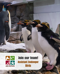 Job Opportunity at the ABQ BioPark: Assistant Zookeeper II (Birds)